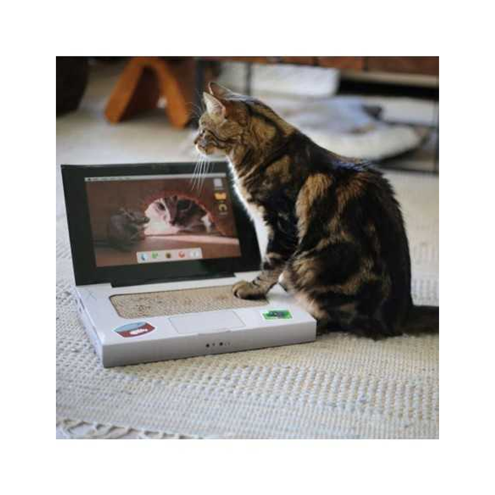 BRNX Rascador Catbook/Notebook