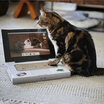 BRNX Rascador Catbook/Notebook