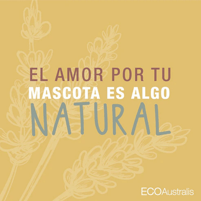 Shampoo hipoalergénico Ecoasutralis natural Quillay Matico Aloe Para Mascotas 350 mL