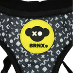 ARNES DOODLE AIRMISH BRNX 