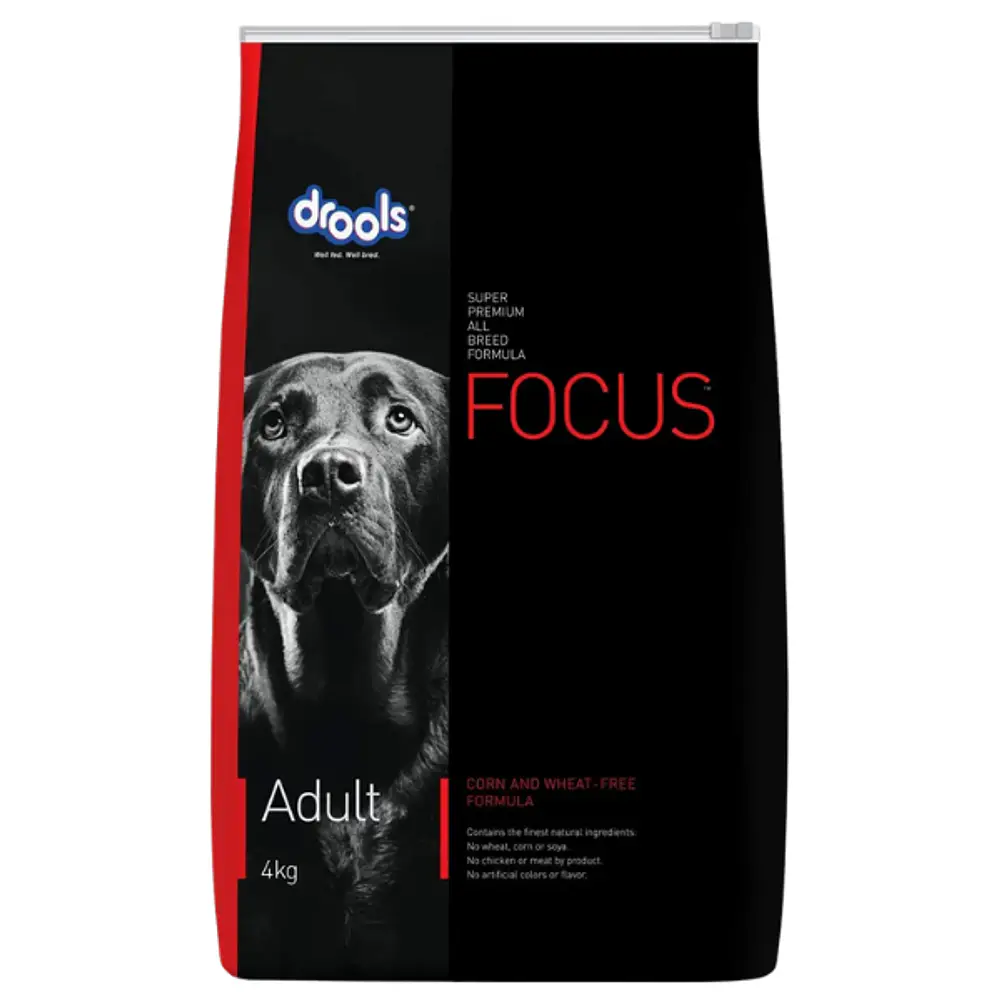 Drools Focus Adulto 4 kilos