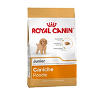 Royal Canin Poodle Cachorro 3 Kg 2