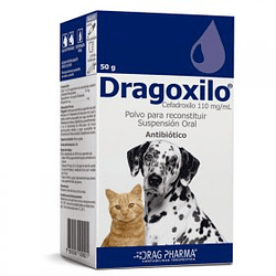 DRAGOXILO SUSP ORAL 50 ML