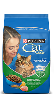 CATCHOW HOGAREÑO CARNE 8KG