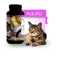 Vito Adulto Gato 100 Gr