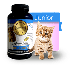 Vito Gatos Junior 100 Gr