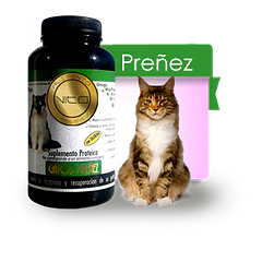 Vito Preñez Gato 100 Gr
