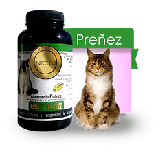 Vito Preñez Gato 100 Gr.