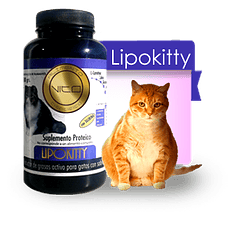 Vito Lipokitty 100 Gr