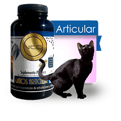 Vito Gatos Articular 100 Gr