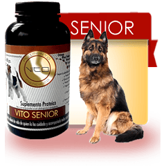 Vito Senior Perro 300 Gr