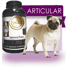 Vito Articular Perro 300 Gr