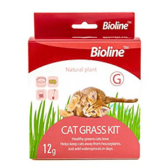 Cat Grass Kit ( Pasto ) 12 Gr