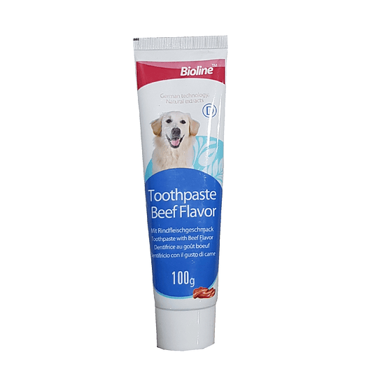 TOOTHPASTE BEEF FLAVOR