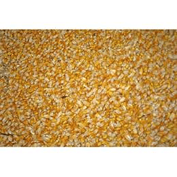 Saco Maiz Chancado Grueso 25 Kg