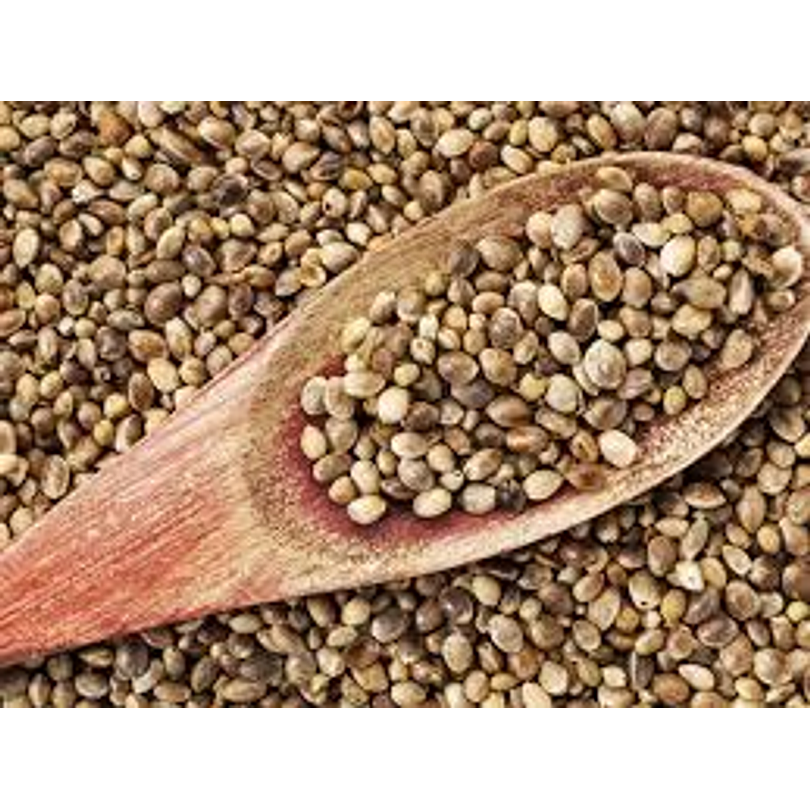 Saco Semilla Cañamo 25 Kg