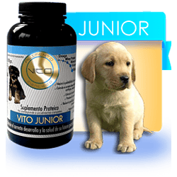 Vito Junior Perro 300 Gr