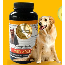 Vito Adulto Perro 300 Gr