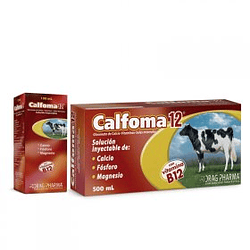 CALFOMA-12 100 ML SOLUCION INYECTABLE