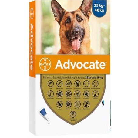 Advocate Pipeta Antipulga Para perros de 25 a 40KG
