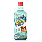 Dental Fresh Original 237 Ml 2