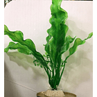 Adorno Acuario Ca12 1