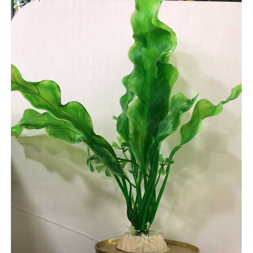 Adorno Acuario Ca12 1