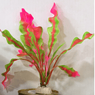 Adorno Acuario Ca12 2