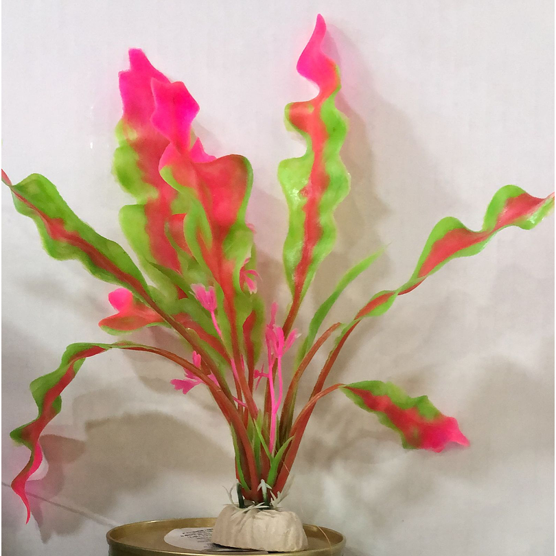 Adorno Acuario Ca12 2