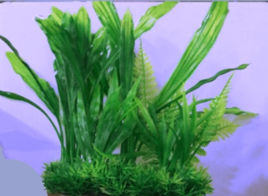 Adorno Planta Acuario 225774