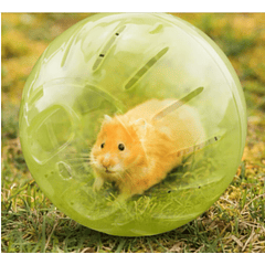 Esfera Hamster Rj-333