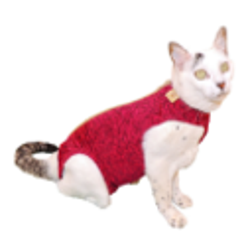 Ropa Post Quirurgica Gato Desde 2