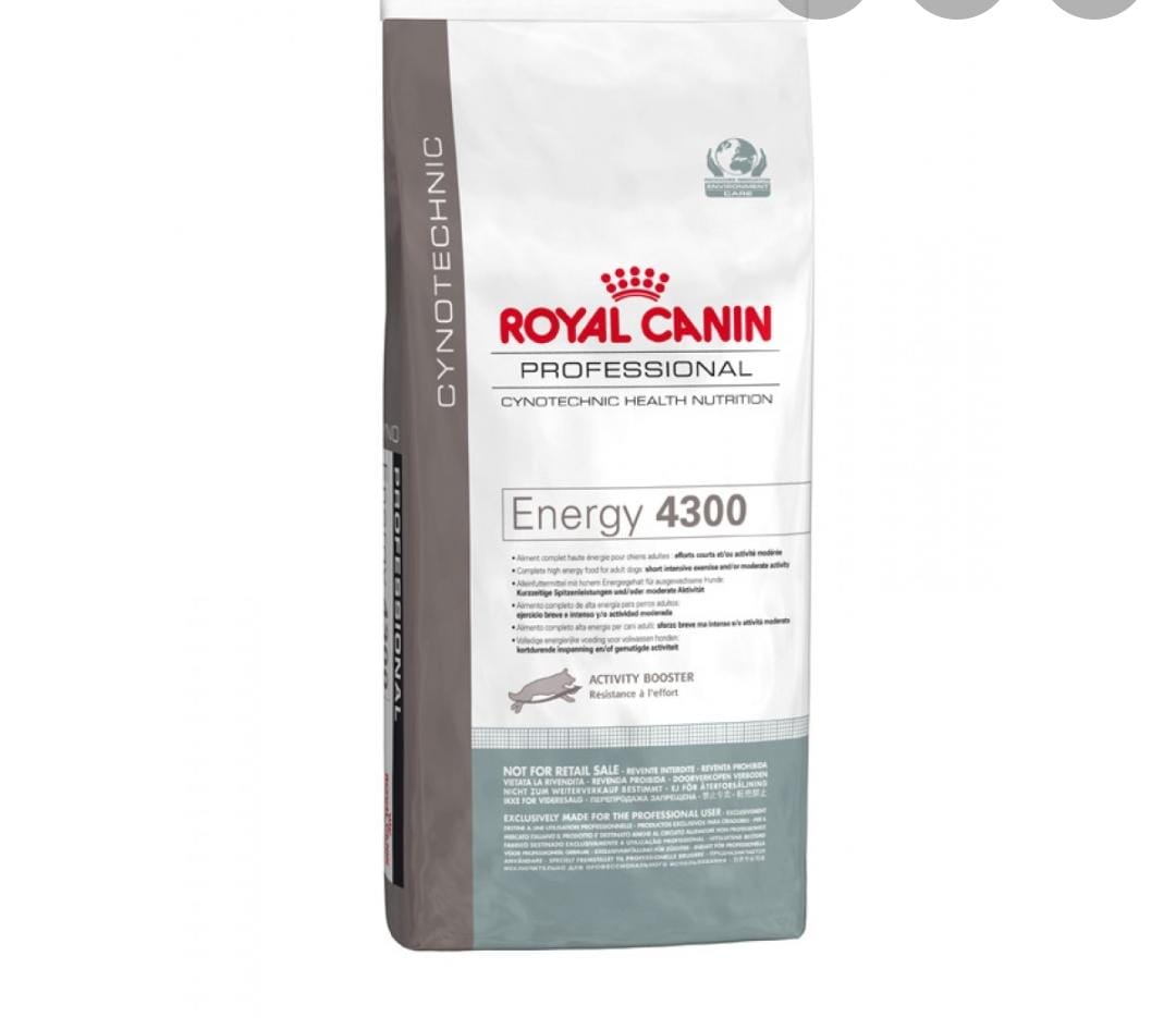ROYAL CANIN ENERGY 4300 20 KG