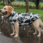 Parka impermeable para perros pequeños y medianos talla L 2