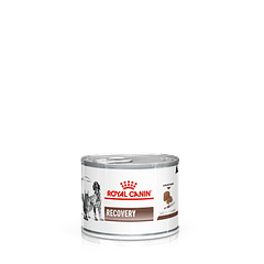 Royal Canin Recovery 145 Gr