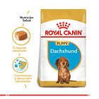 Royal Canin Dachshund Puppy 2.5 Kg 1