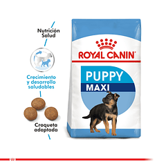 Royal Canin Maxi Puppy 15 Kg 