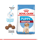 Royal Canin Medium Puppy 15 Kg 1