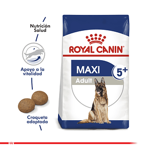 ROYAL CANIN MAXI ADULT 5+ 15 KG