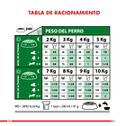 Royal Canin Mini Adult 8+ 1 Kg 2