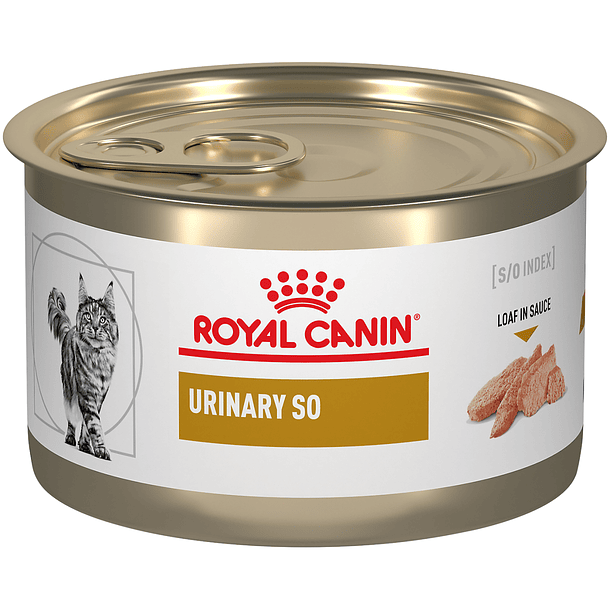ROYAL CANIN URINARY SO FELINE 165 GR