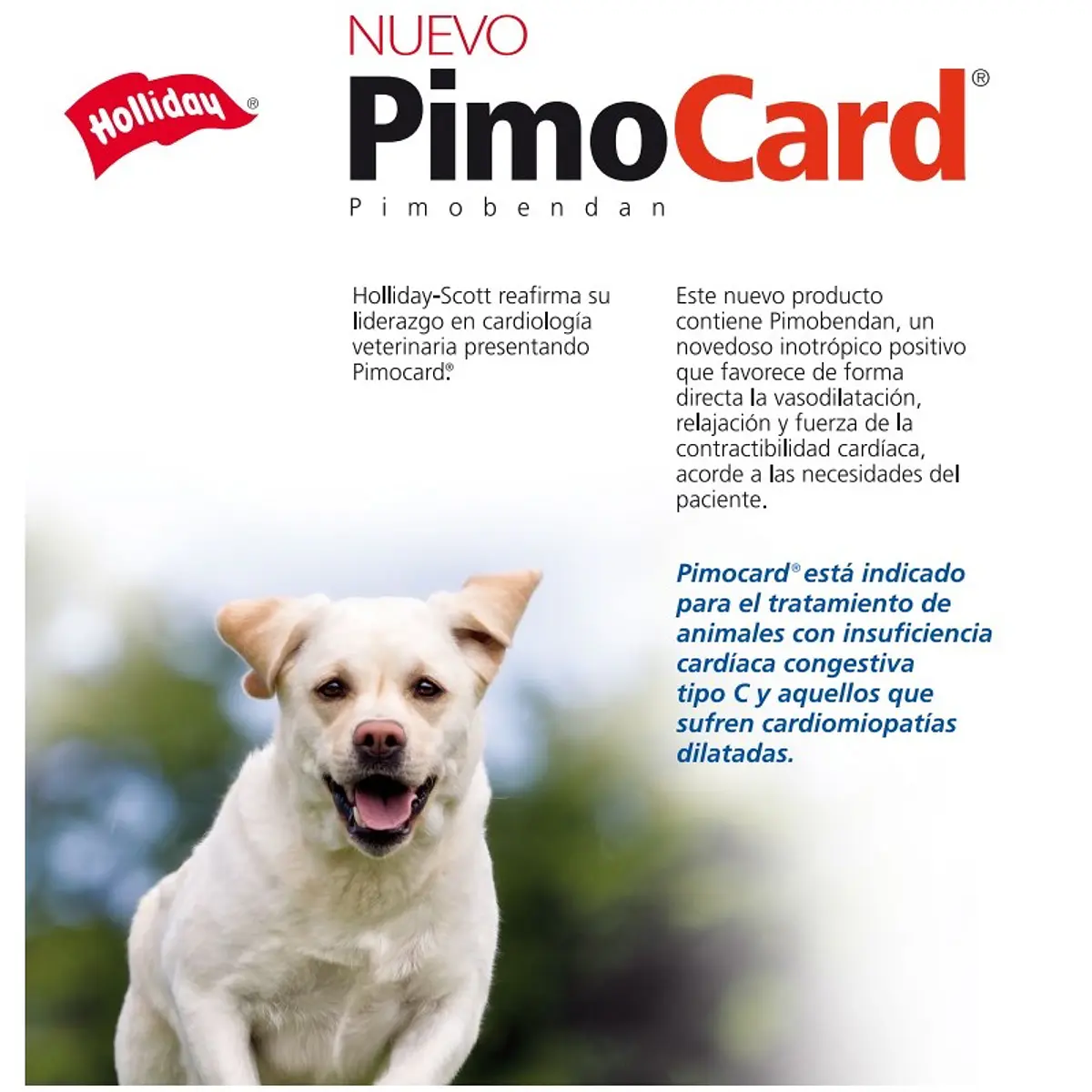 Pimocard 5, 20 Comprimidos | PET BJ