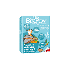 Big Paw Terrina Salmon Hipoalergenico 150 Gr