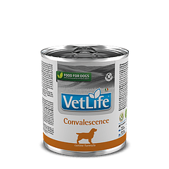 Vet Life Convalescence 300 Gr