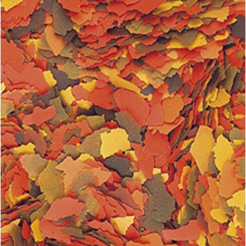 Alimento Supervit Flakes Tropical 50 Gr  2