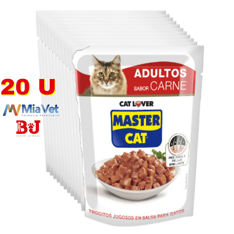 Alimento Húmedo Master Cat Display 20 U Adultos 1