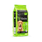 Maxine Perro Senior 21 Kg 2