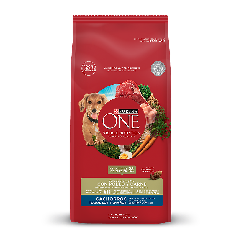 Purina One Perros Cachorros Pollo Y Carne 2 Kg