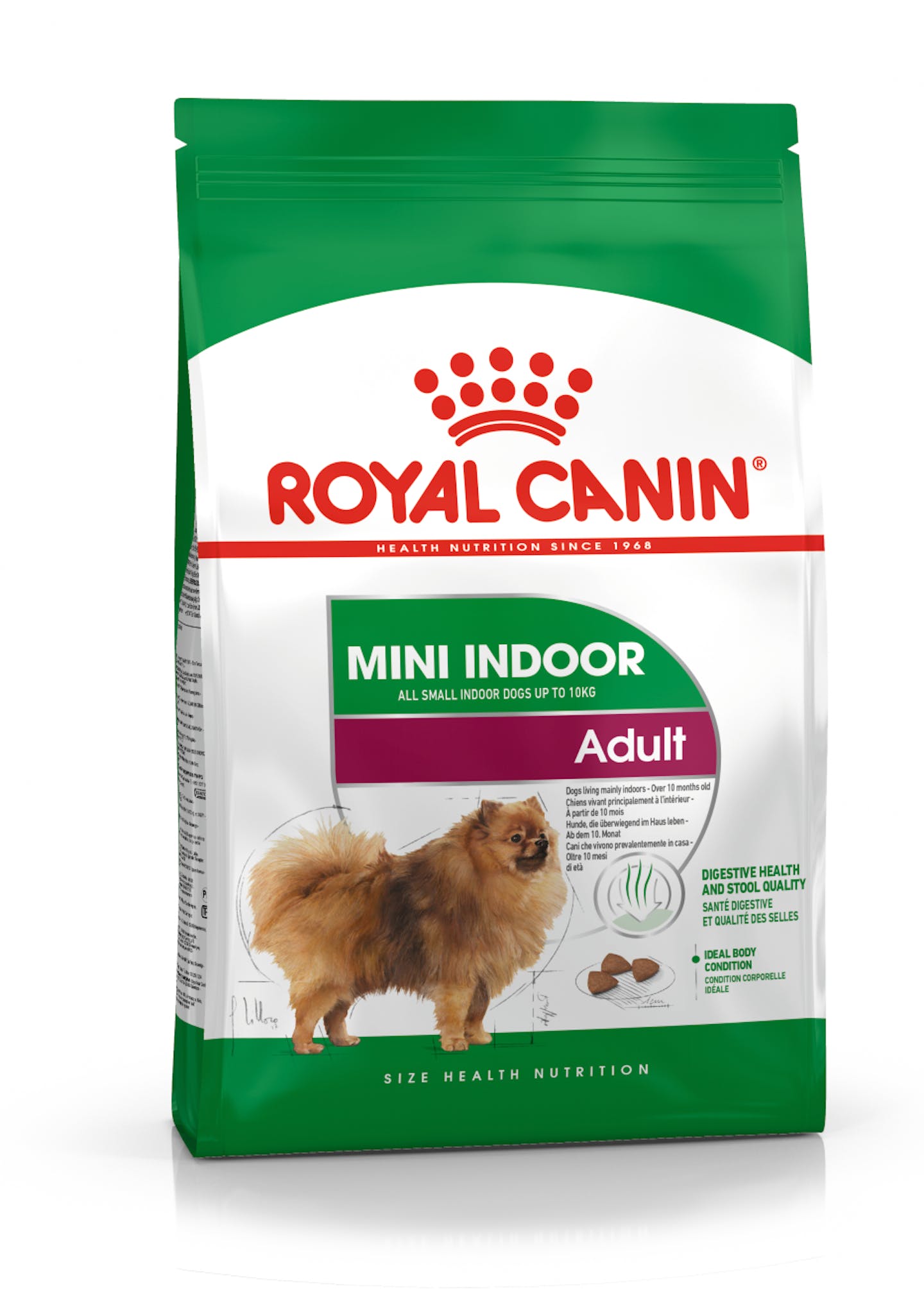Royal Mini Indoor Adulto 3 Kg | PET BJ