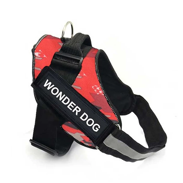 Arnes Wonder Dog Pt015s